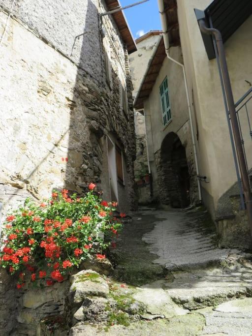 Apartamento Casa A Verdeggia *