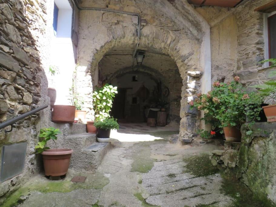 Casa A Verdeggia Apartment *